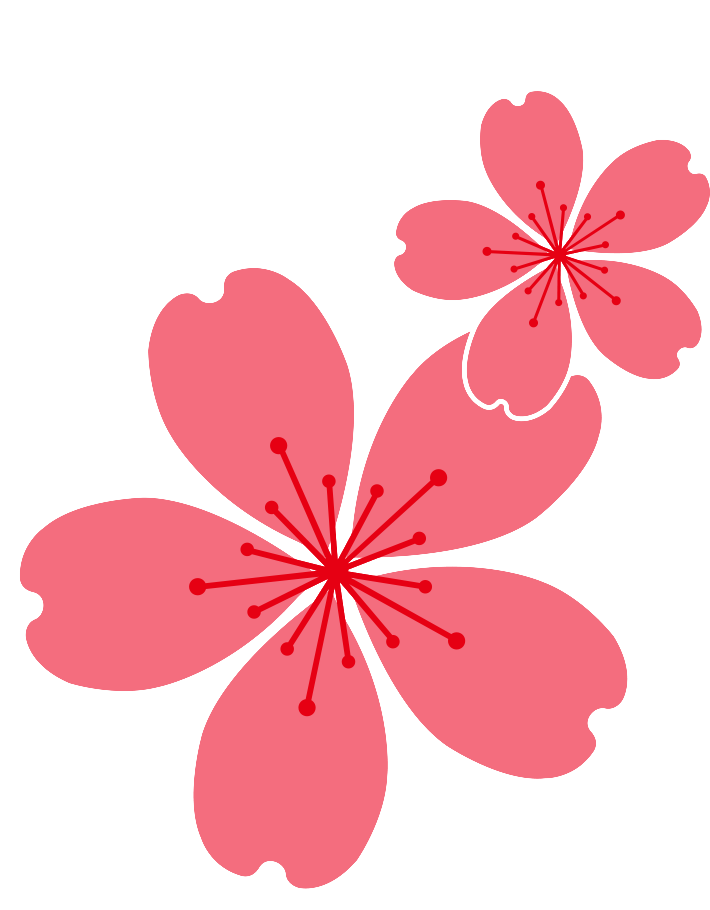 BlossomFlowerSingle